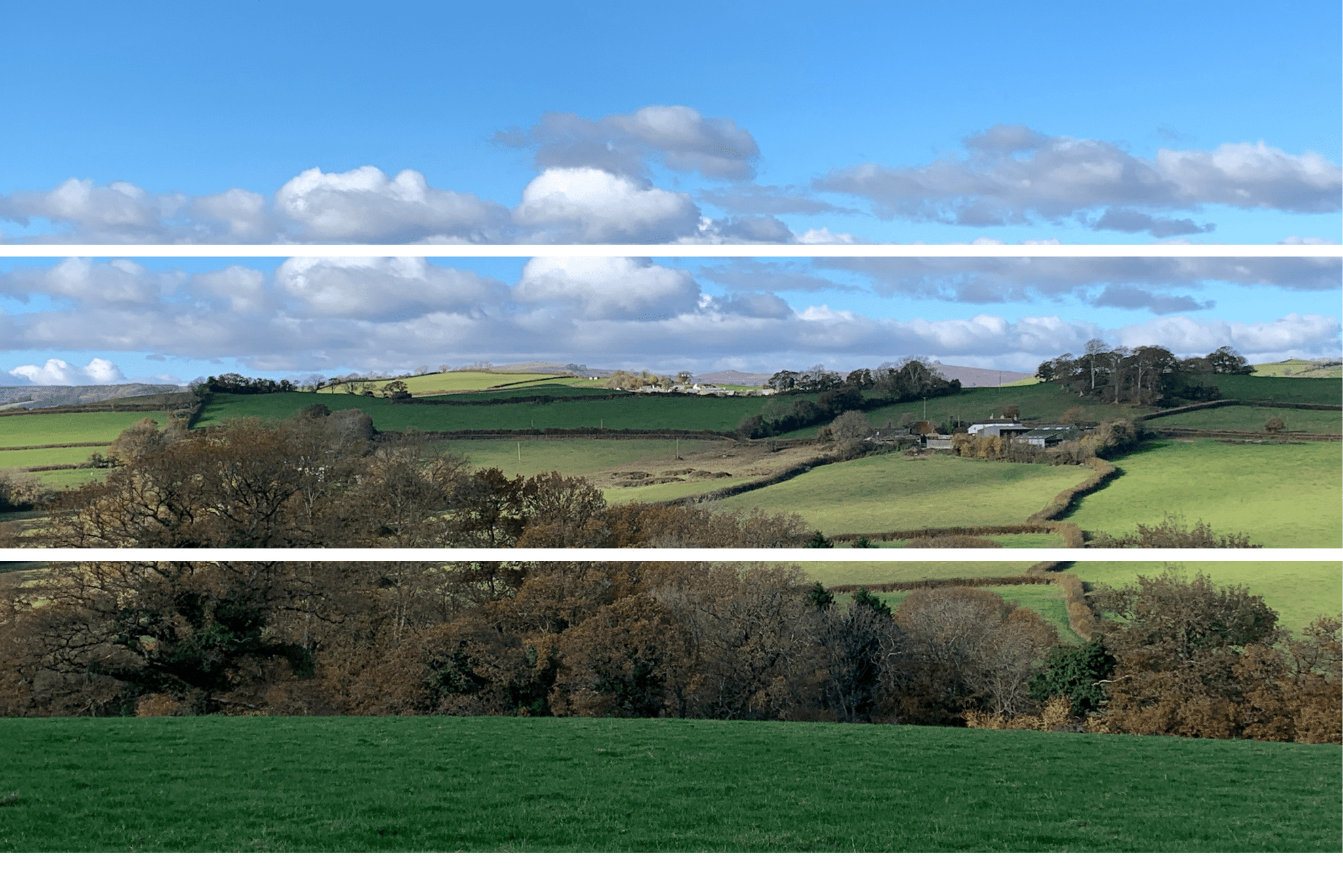 Devon Update - Feb 2022
