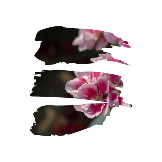 Luxury Aromatherapy Candle - Rose Tree No. 1 - De-Stress - 75g