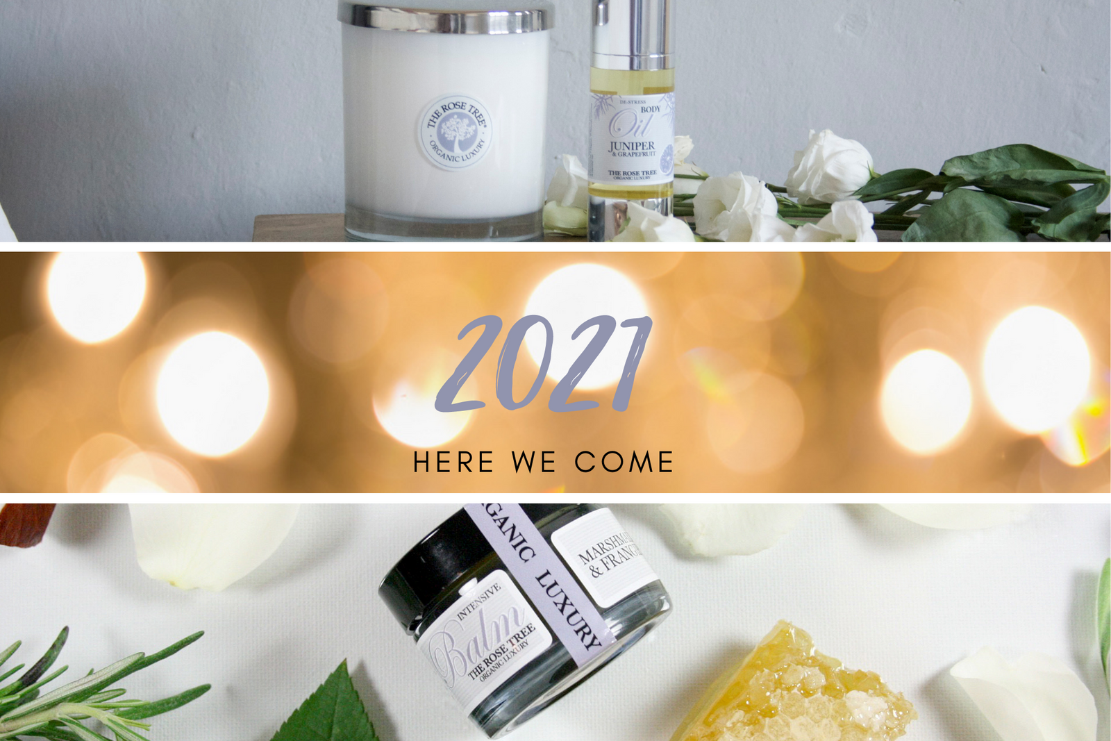 A New Year's Message - Giving Back in 2021