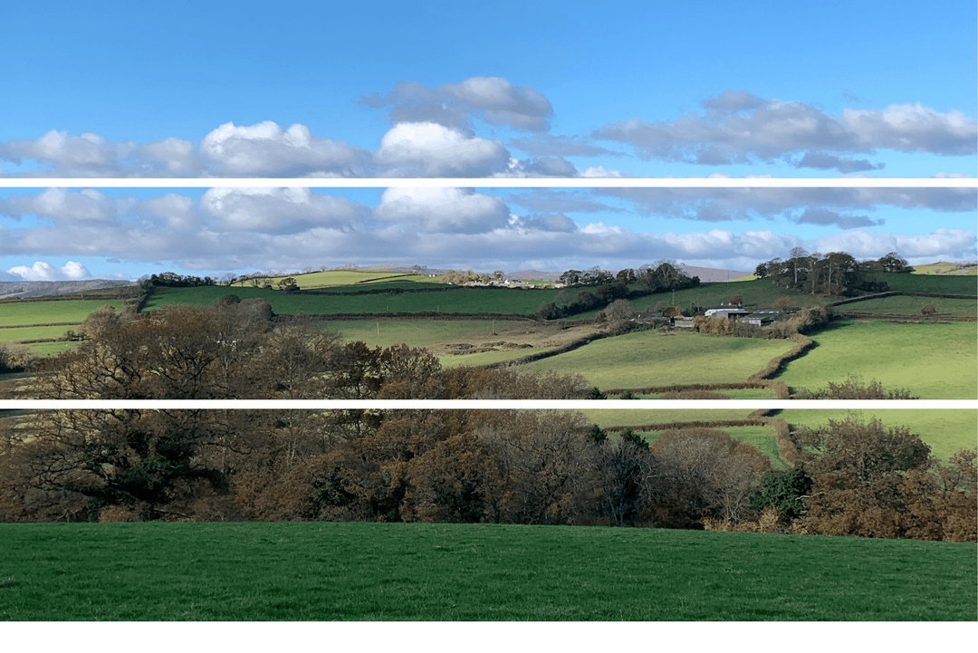 Devon Update - Feb 2022