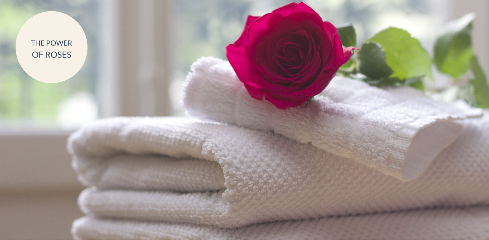 Blooming Beauty: The Power of Roses in Your Skincare Routine