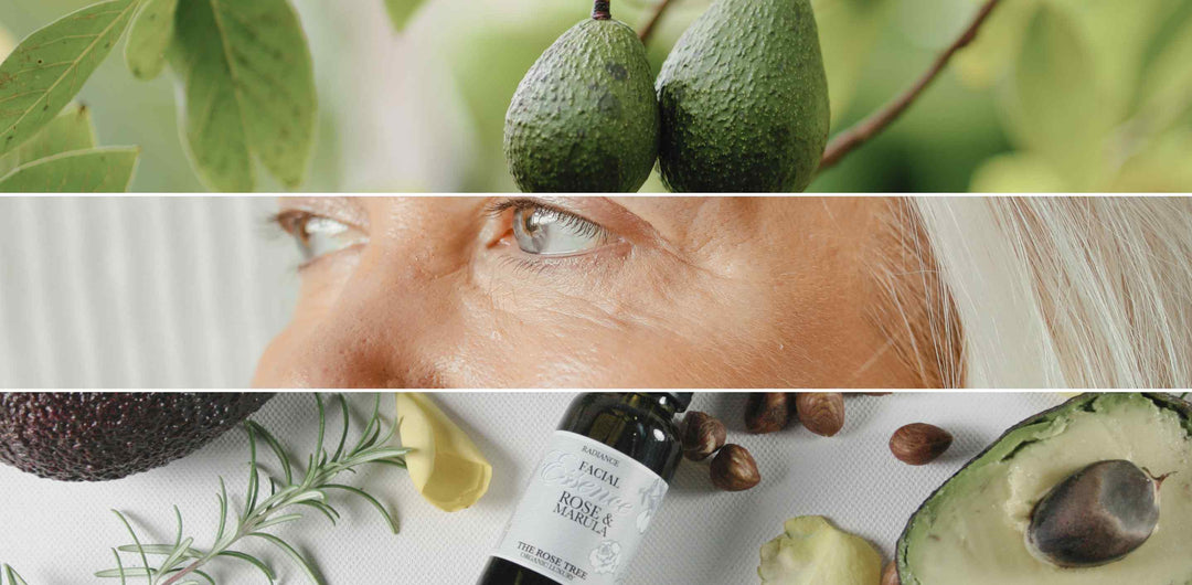 5 Best Face Oil Friendly Plant Oils for Dry, Sensitive Skin