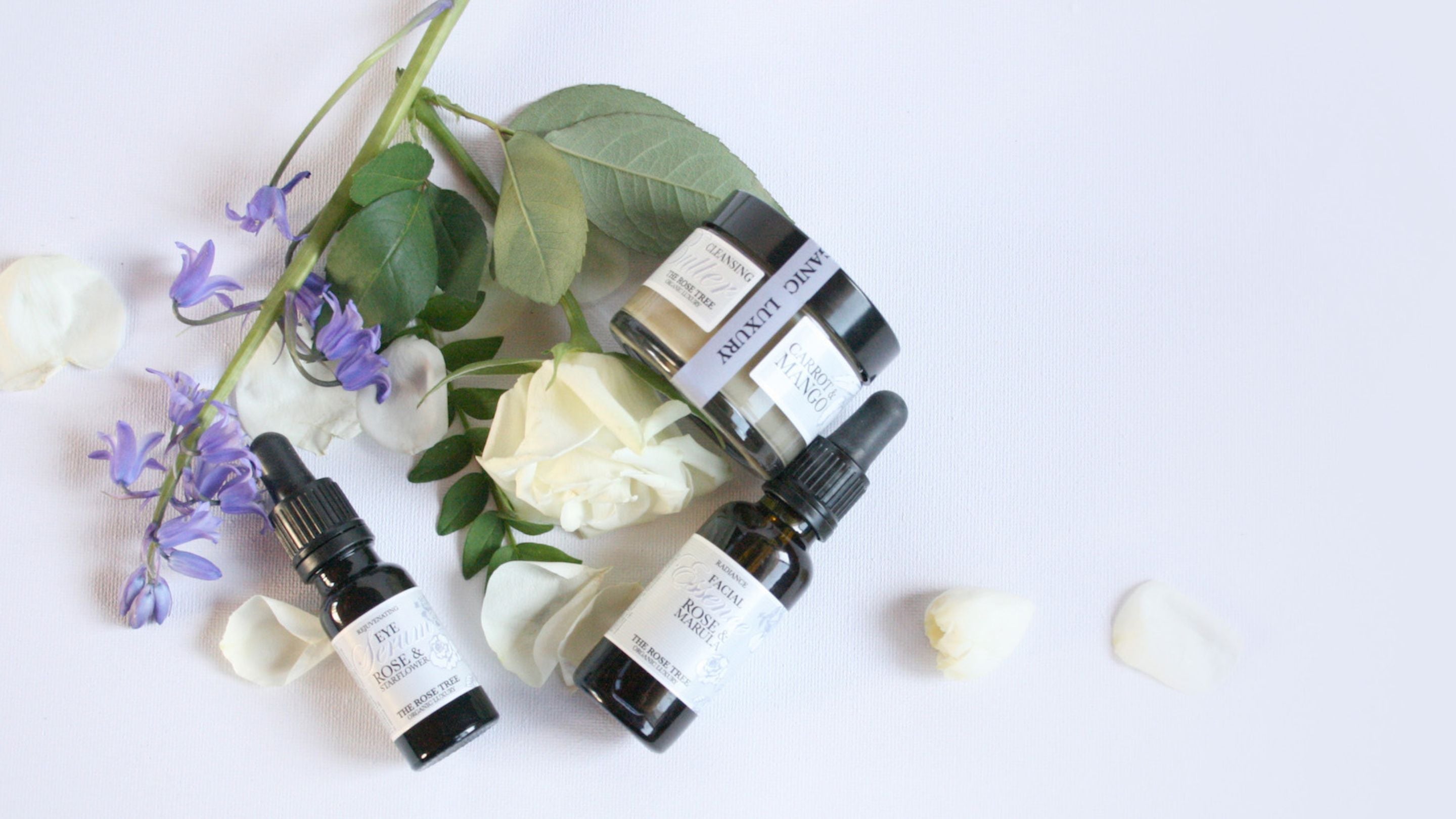 Sale & Special Offers