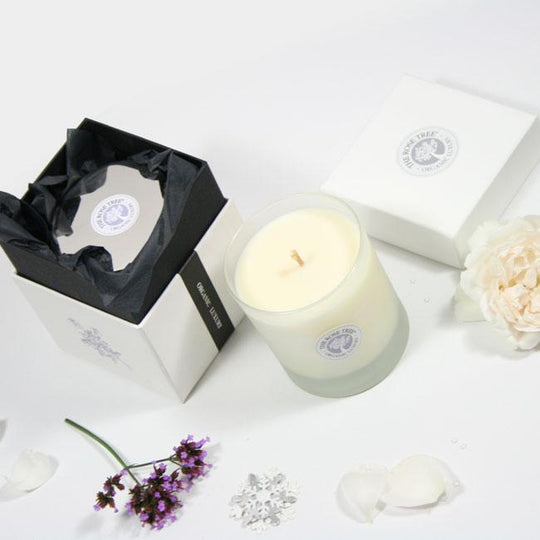 Luxury Aromatherapy Candle - Restore Group